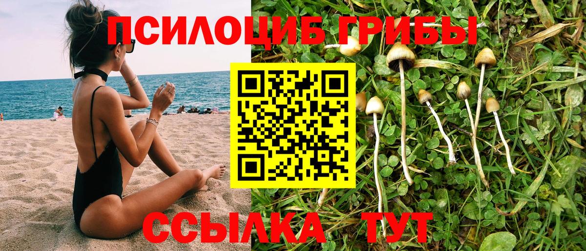 Галлюциногенные грибы Magic Shrooms Дивногорск