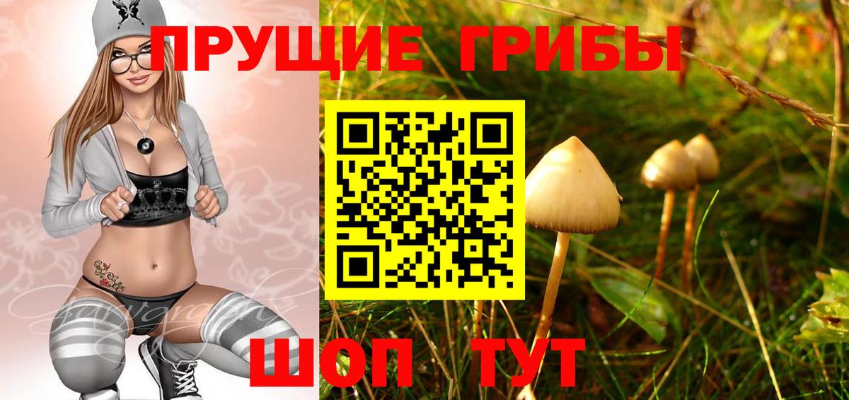 Дивногорск  Галлюциногенные грибы Psilocybe  Вход с VPN 